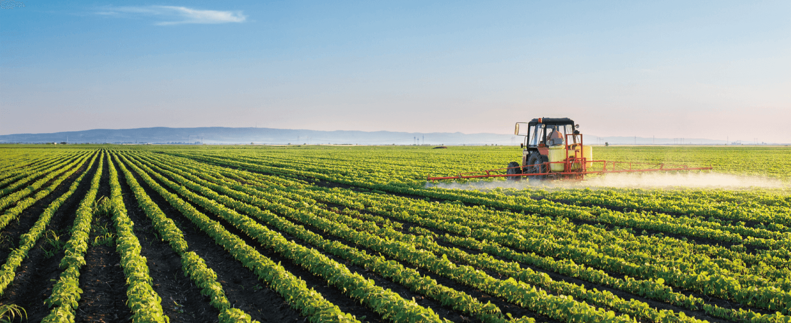 德州扑克平台排名