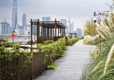 德州扑克平台排名