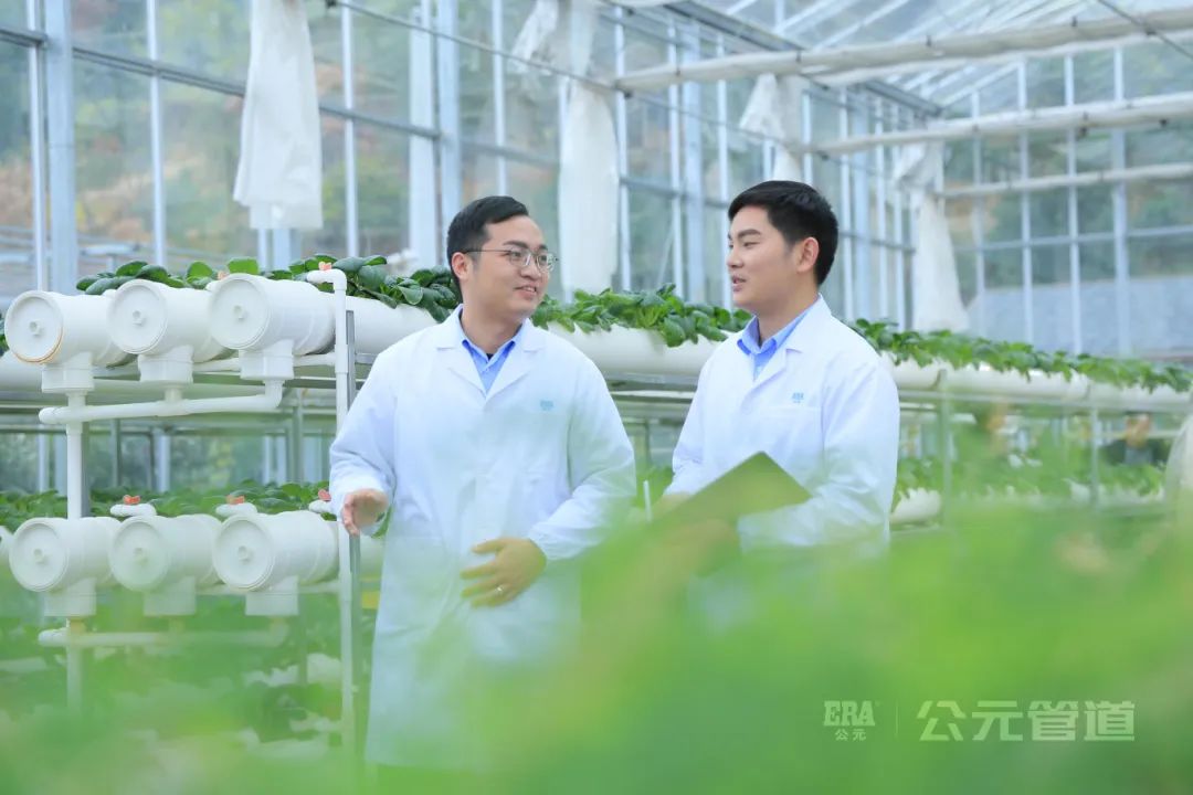 德州扑克平台排名