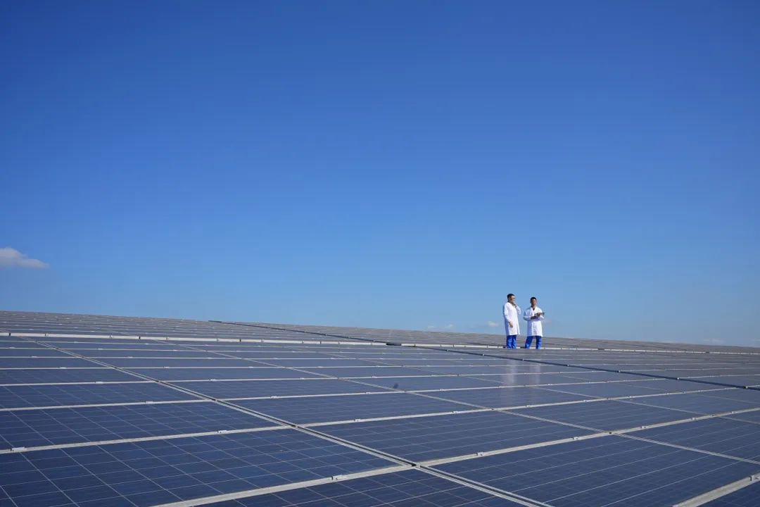 德州扑克平台排名