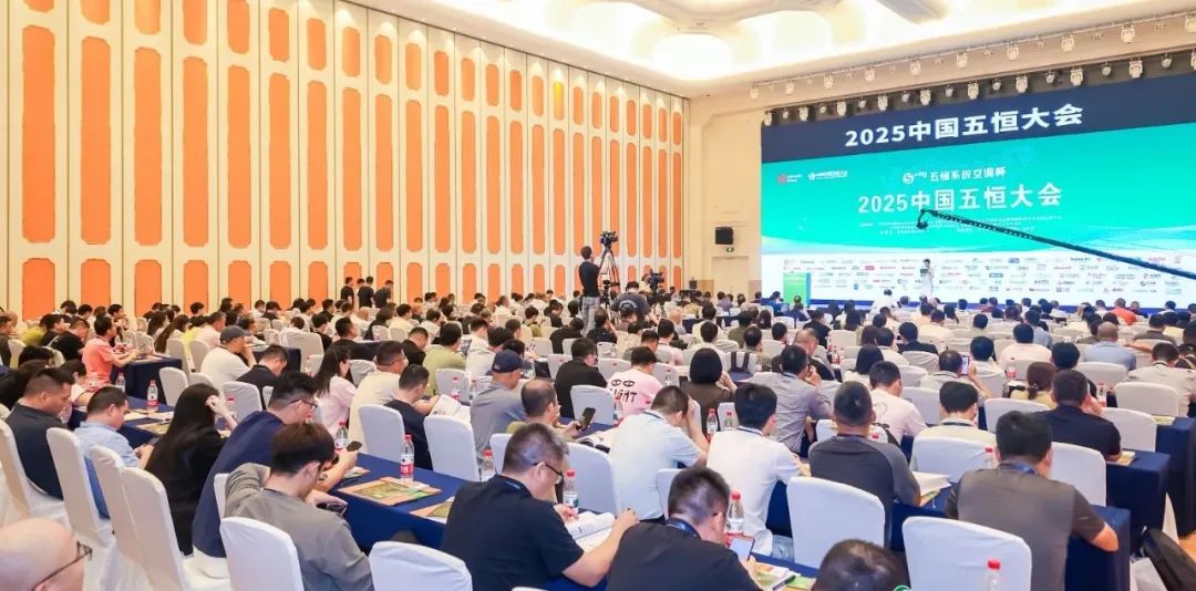 德州扑克平台排名